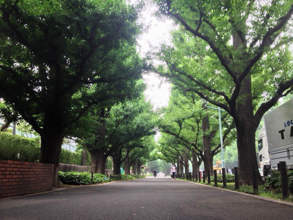 f:id:santambo:20160714073300j:plain