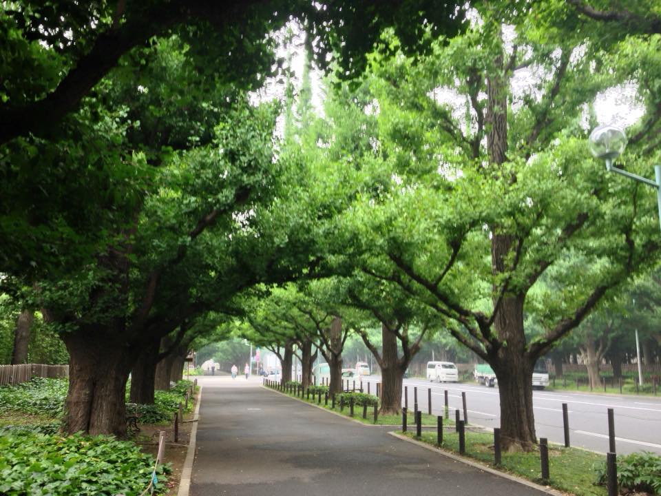 f:id:santambo:20160714073328j:plain