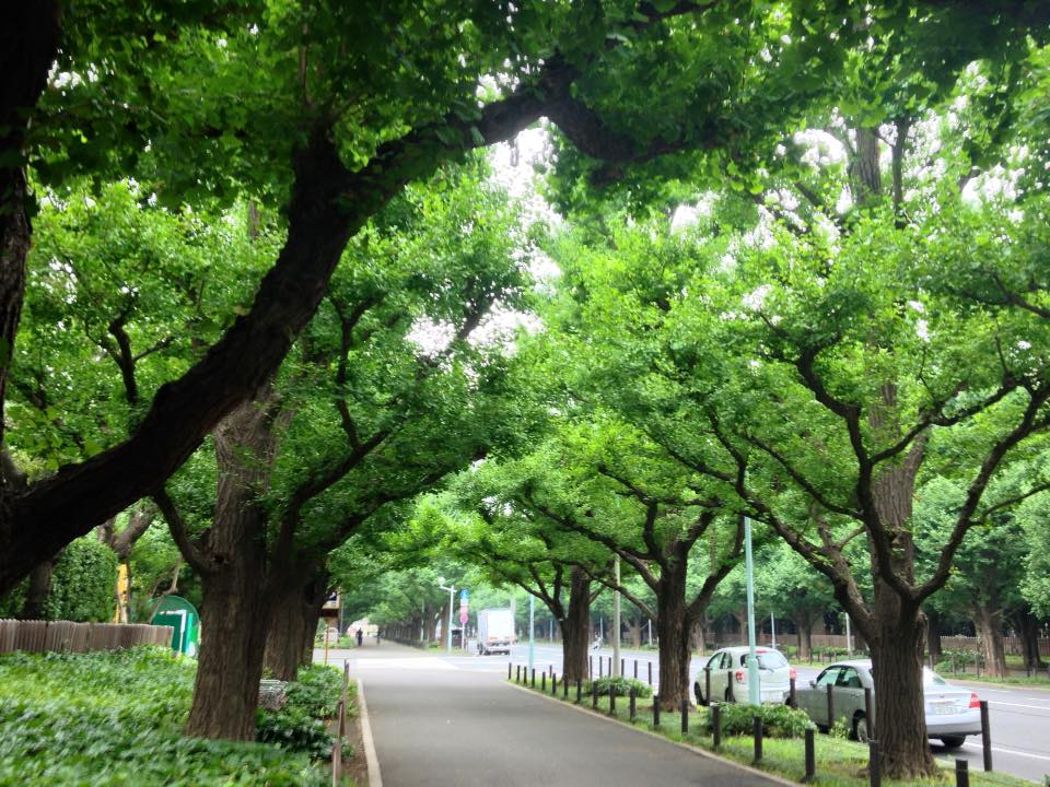 f:id:santambo:20160717072723j:plain