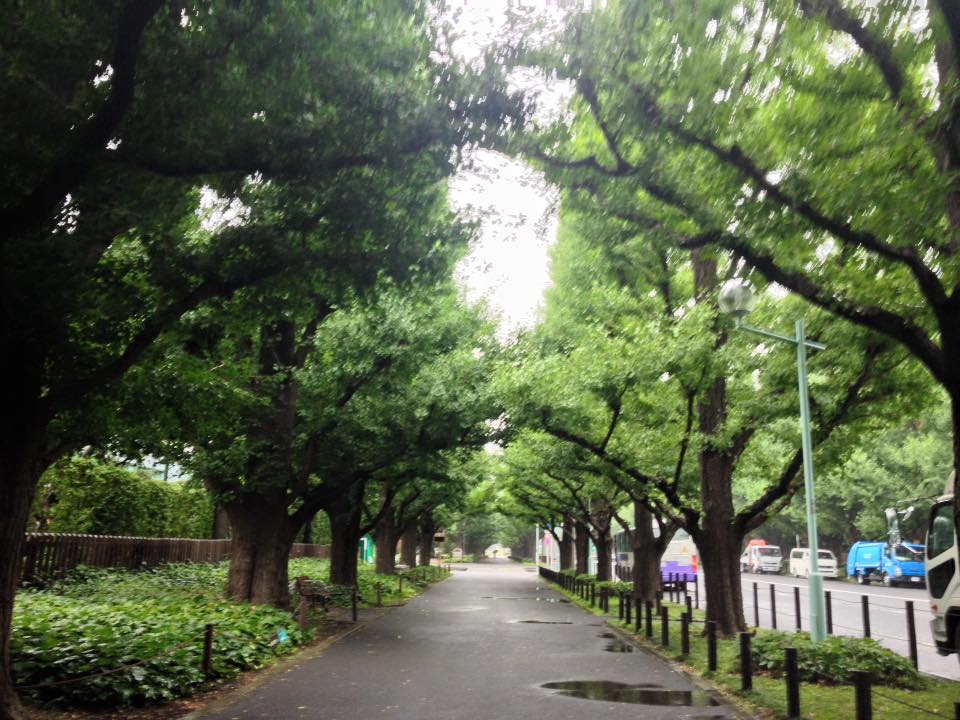 f:id:santambo:20160721071850j:plain