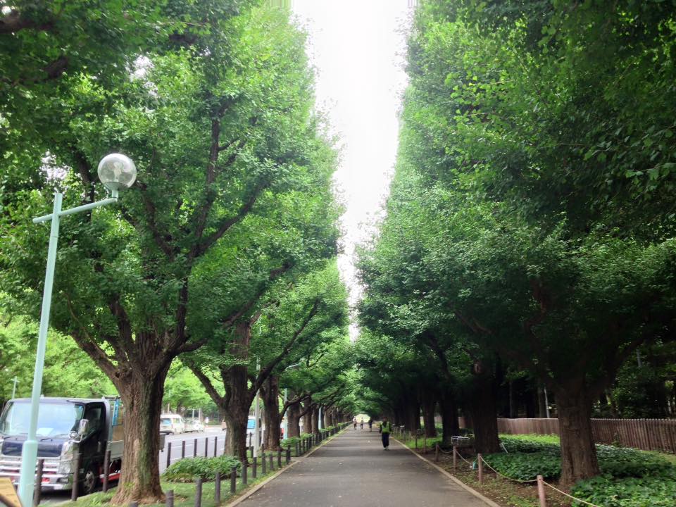 f:id:santambo:20160723071857j:plain