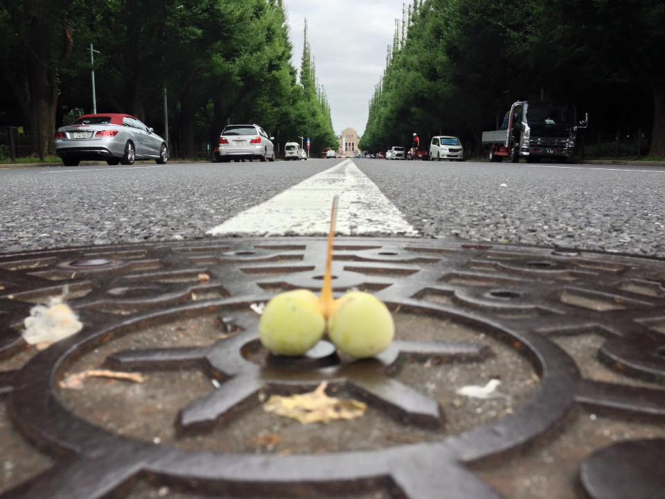 f:id:santambo:20160723071911j:plain