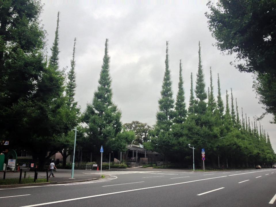 f:id:santambo:20160726064457j:plain