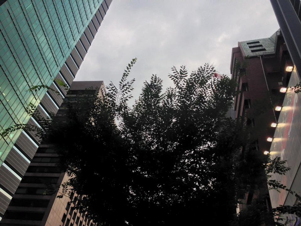 f:id:santambo:20160726064510j:plain