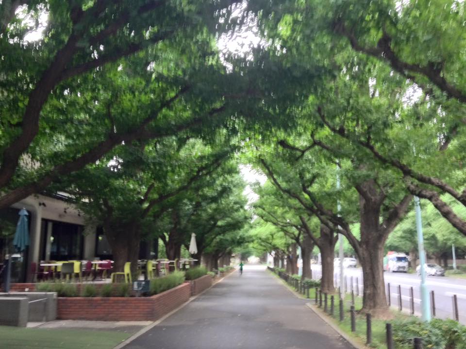 f:id:santambo:20160727070832j:plain