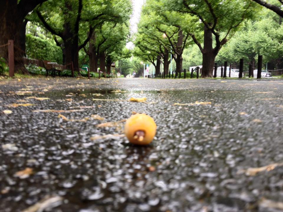 f:id:santambo:20160830072730j:plain f:id:santambo:20160830072730j:plain