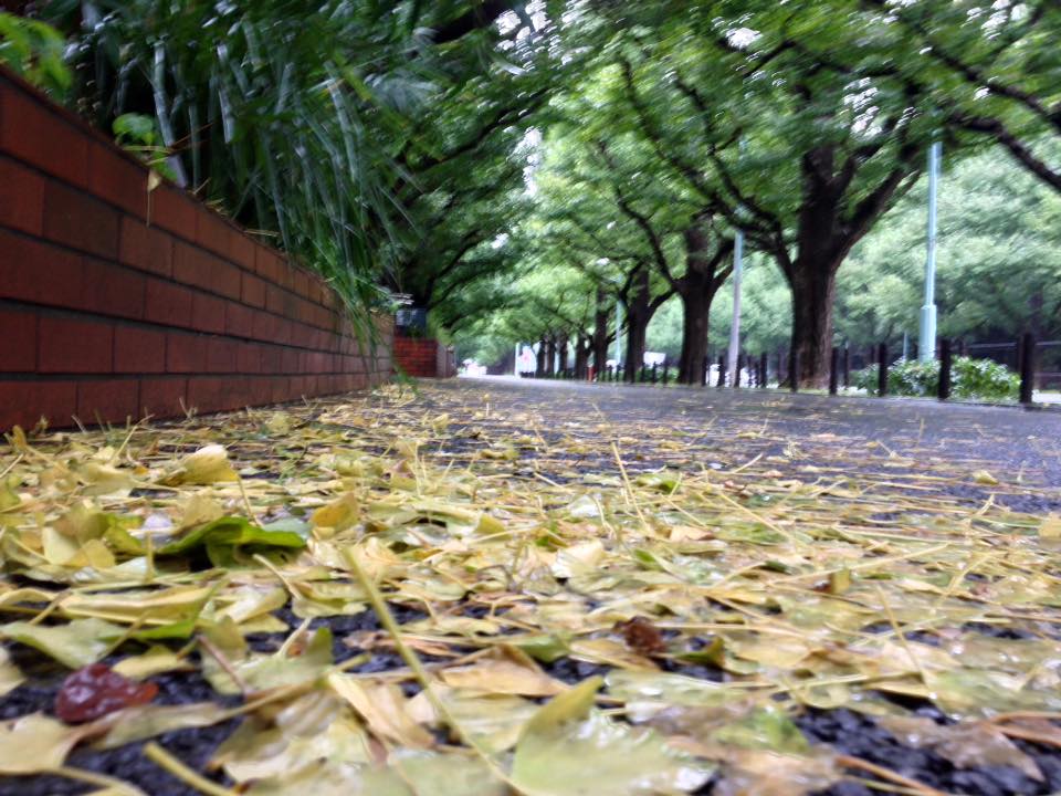 f:id:santambo:20160830072759j:plain f:id:santambo:20160830072759j:plain