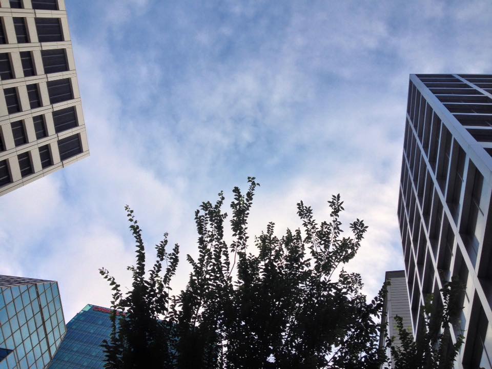 f:id:santambo:20160903074421j:plain