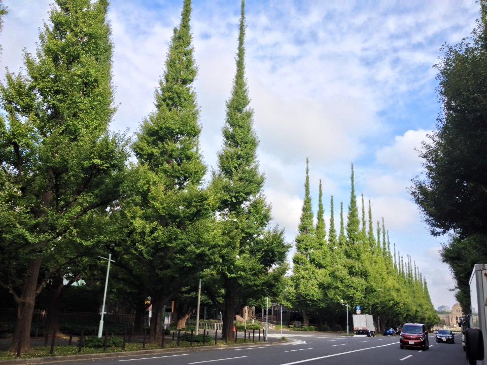 f:id:santambo:20160903074525j:plain