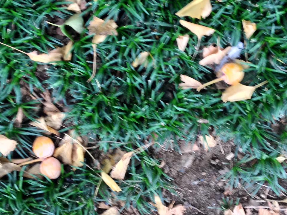 f:id:santambo:20160912065700j:plain f:id:santambo:20160912065700j:plain