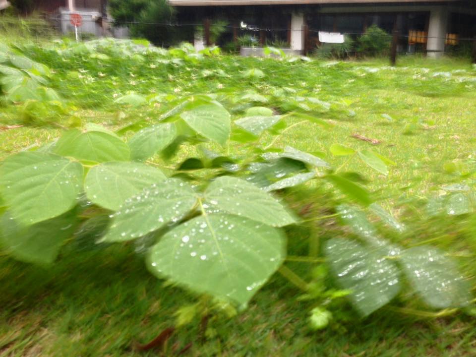 f:id:santambo:20160915070223j:plain