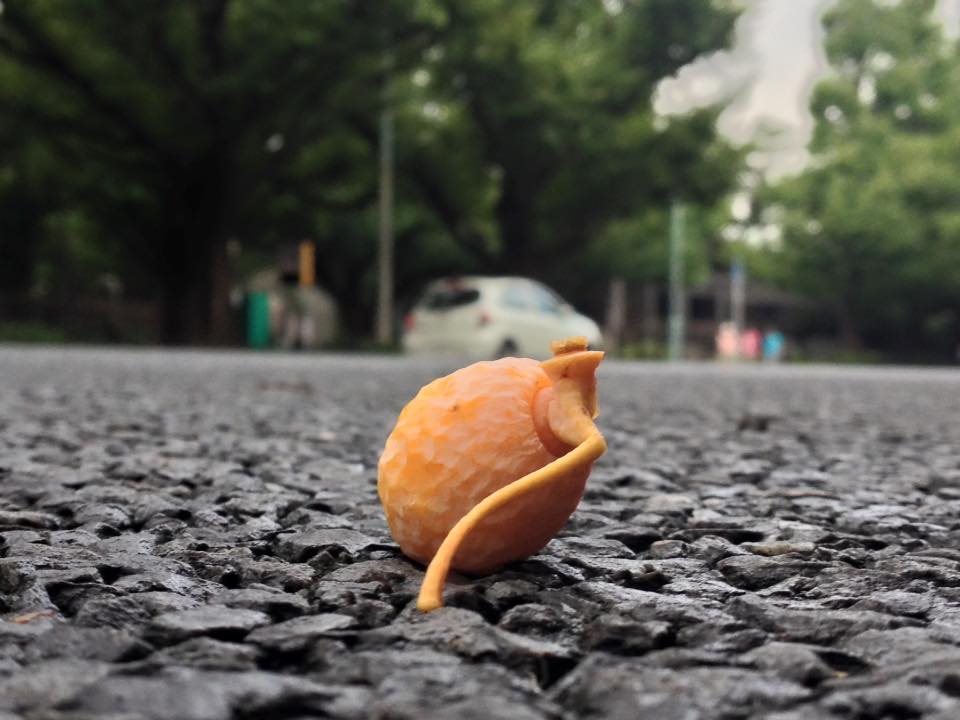 f:id:santambo:20160917071530j:plain