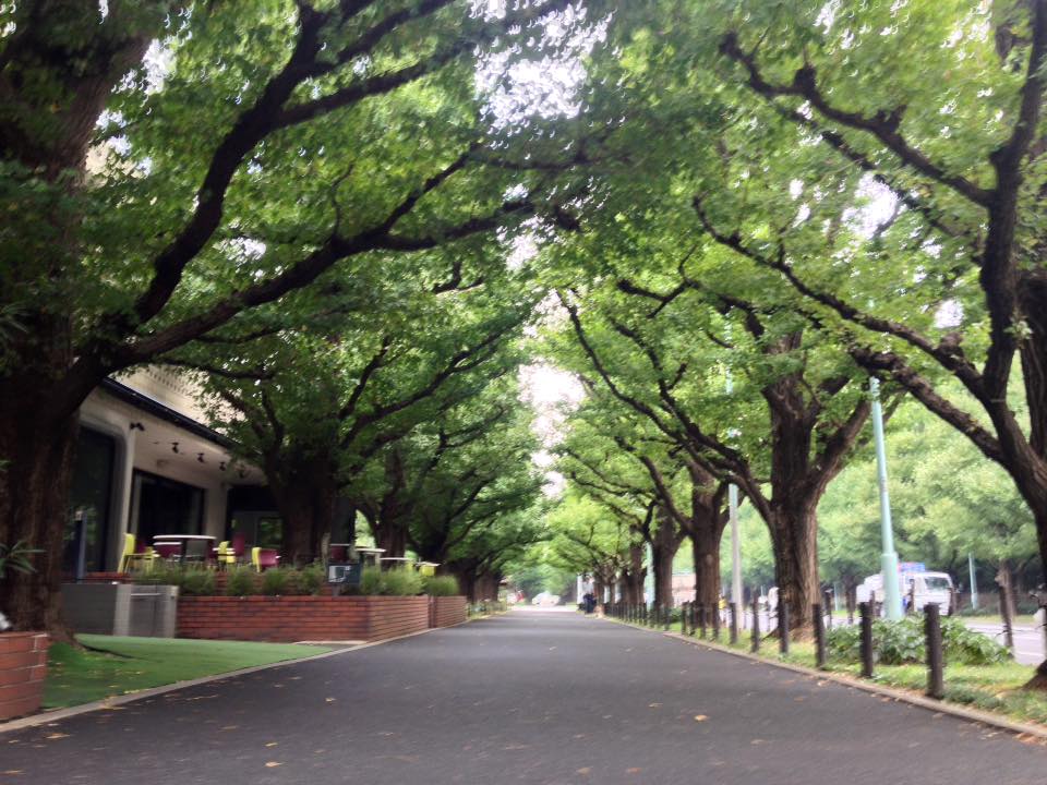 f:id:santambo:20160917071547j:plain