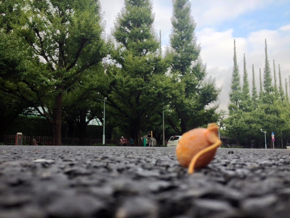 f:id:santambo:20160917071600j:plain