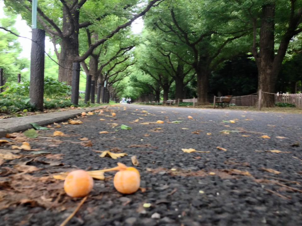 f:id:santambo:20160919071737j:plain