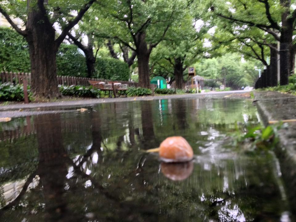 f:id:santambo:20160920074202j:plain