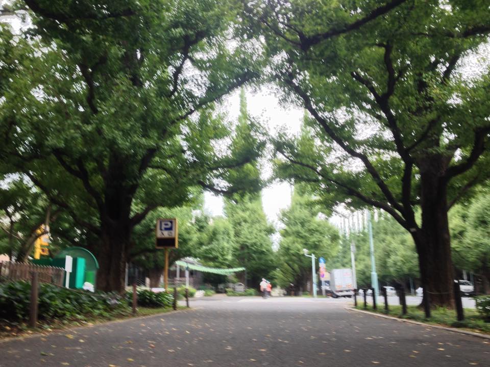 f:id:santambo:20160928064343j:plain