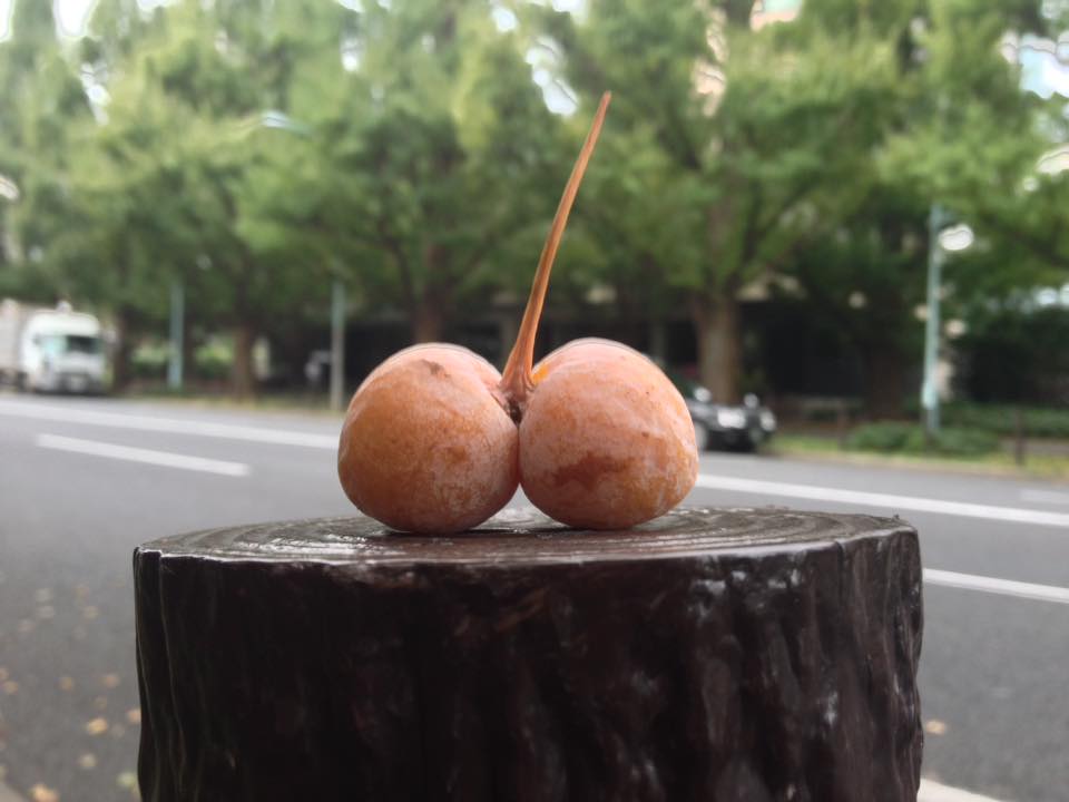 f:id:santambo:20161005065808j:plain