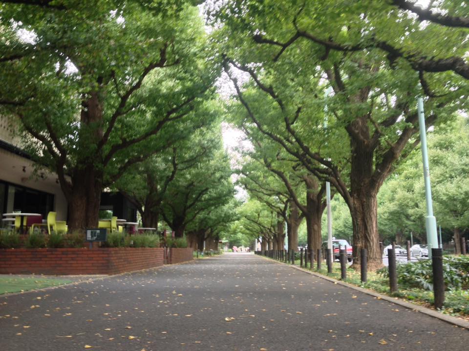 f:id:santambo:20161005065823j:plain