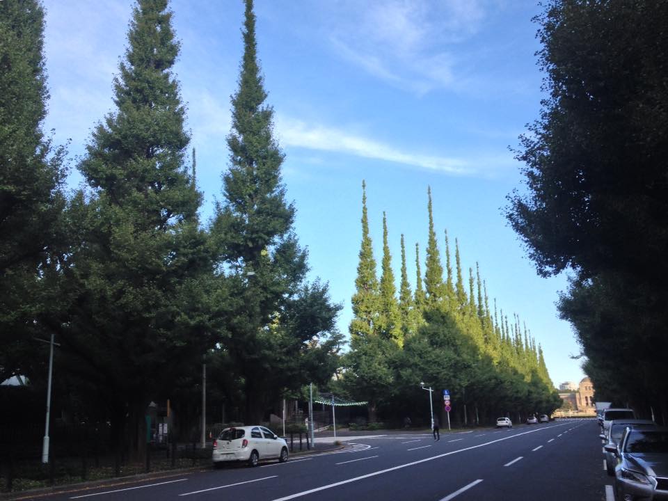 f:id:santambo:20161006071347j:plain