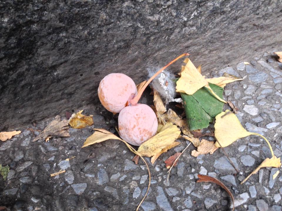 f:id:santambo:20161007071322j:plain