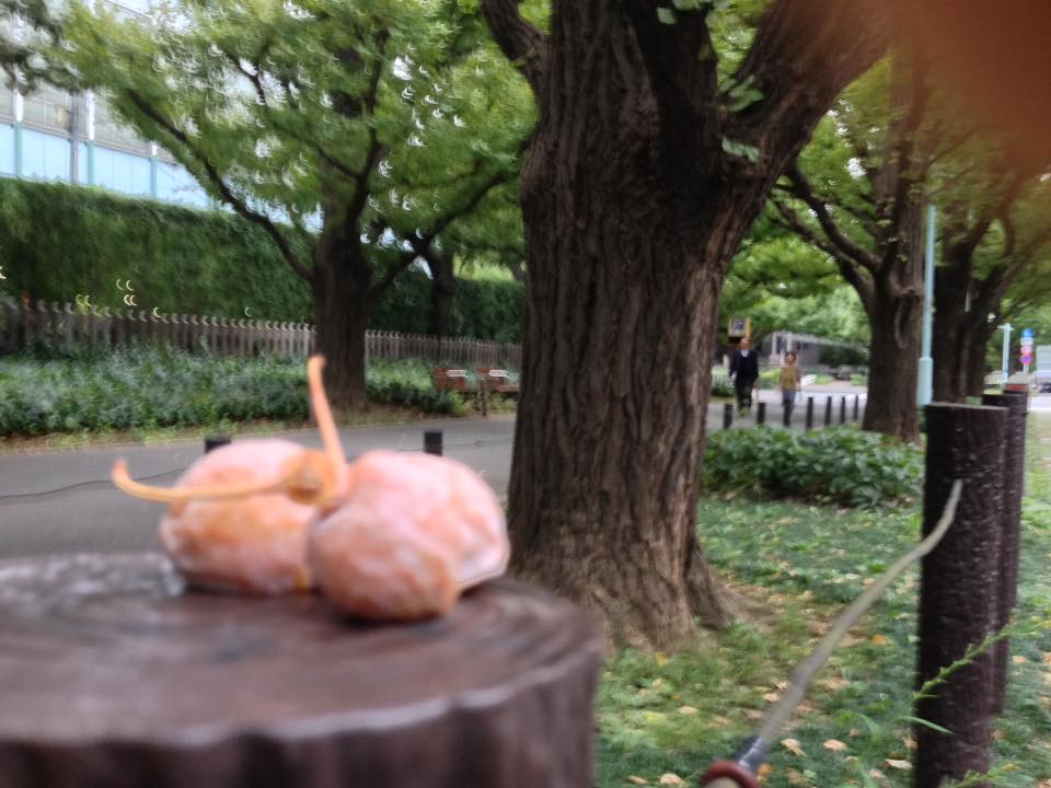 f:id:santambo:20161011064720j:plain