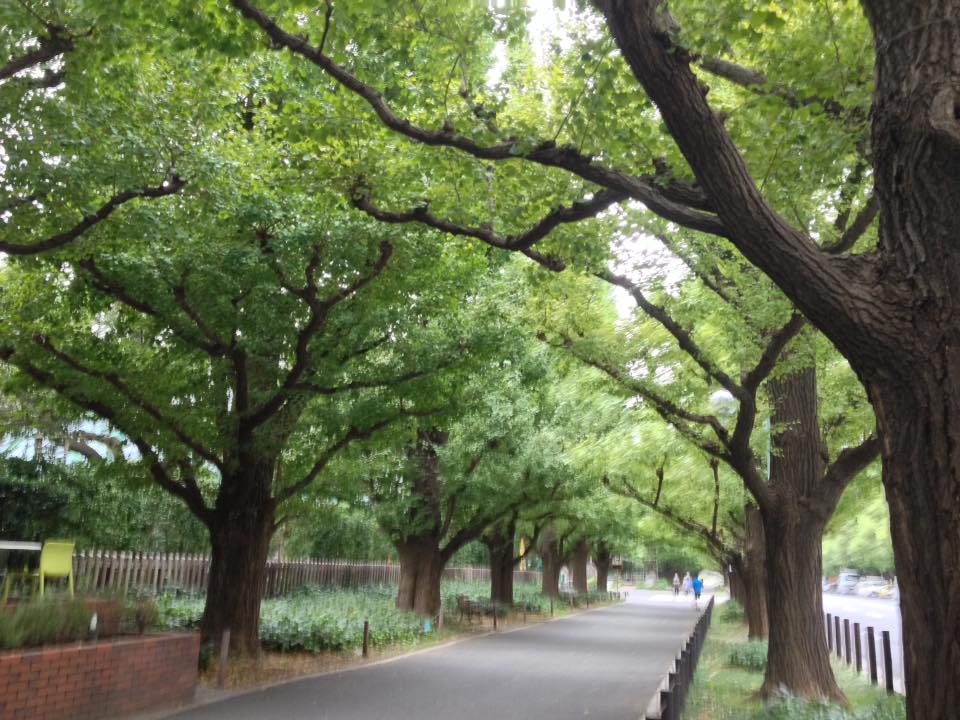 f:id:santambo:20161013071728j:plain