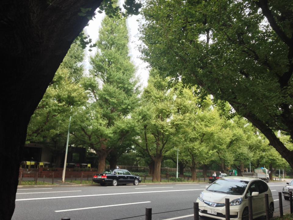 f:id:santambo:20161014070701j:plain