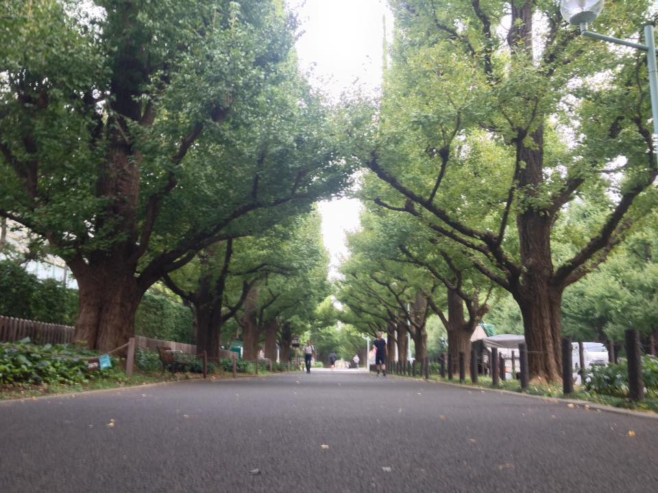 f:id:santambo:20161014070727j:plain