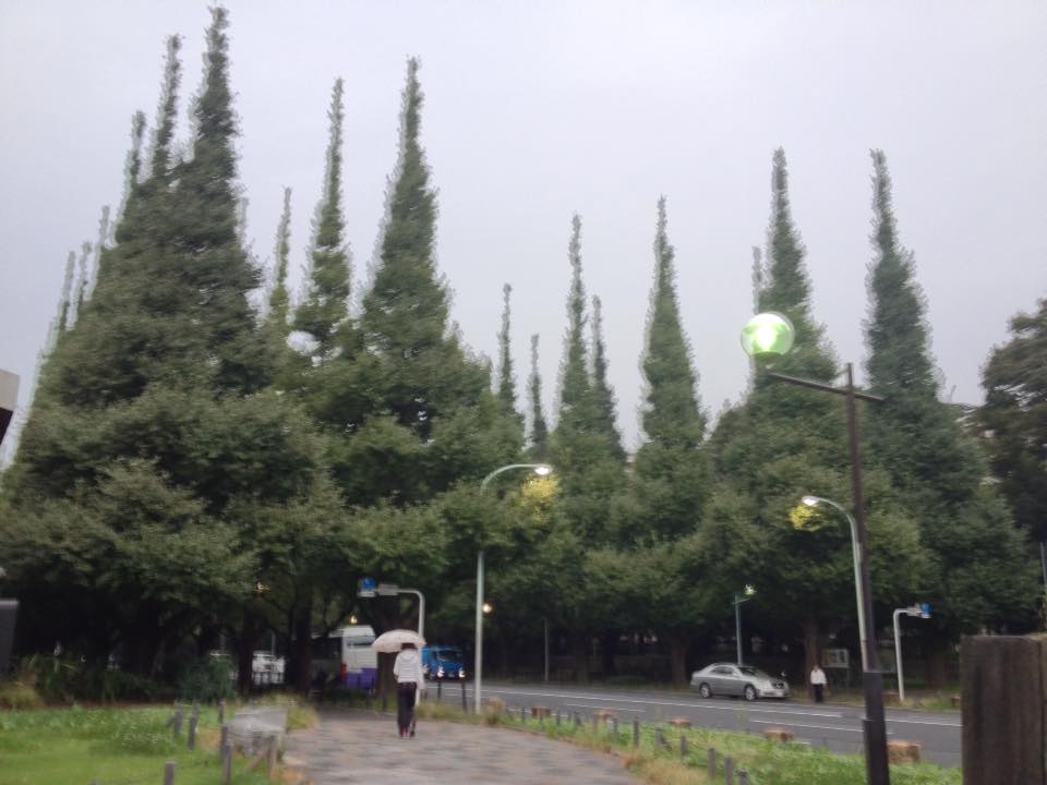 f:id:santambo:20161017064536j:plain