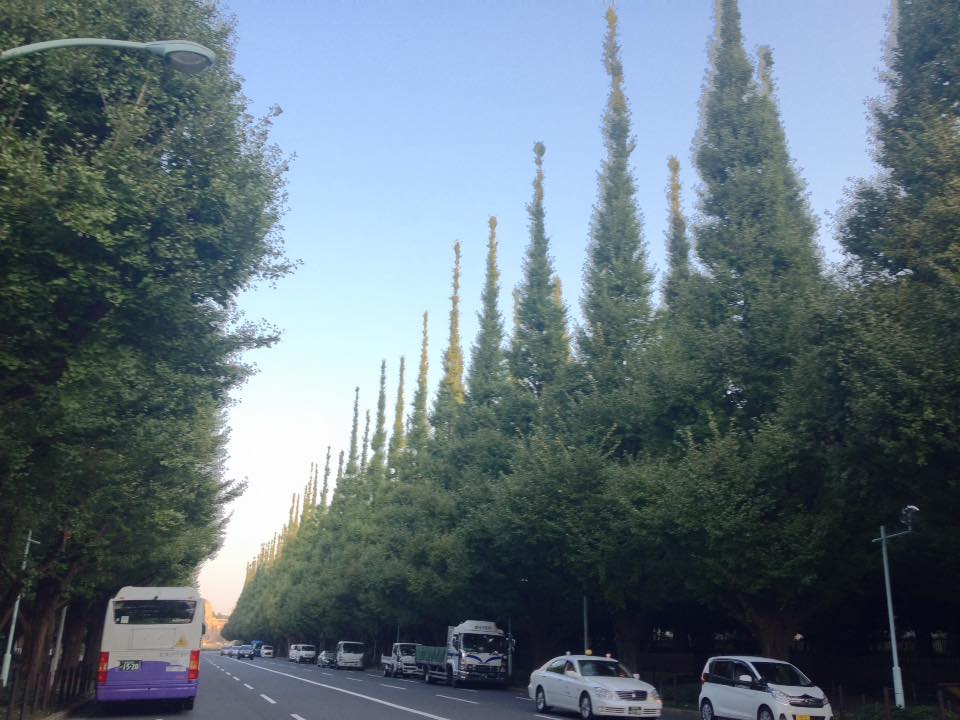 f:id:santambo:20161020071011j:plain