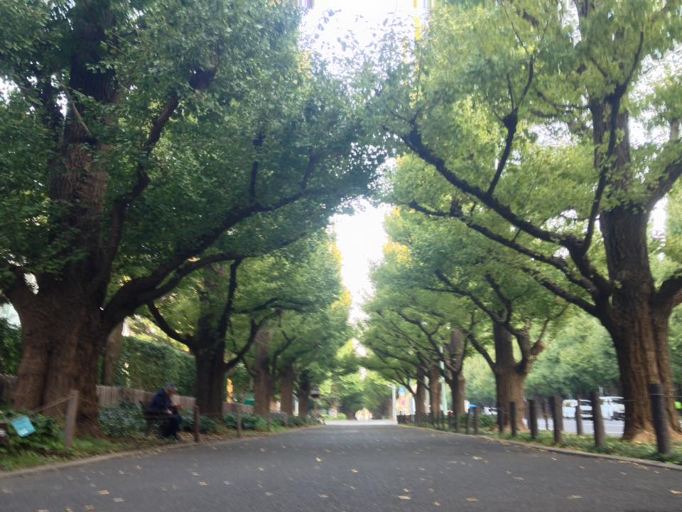 f:id:santambo:20161020071024j:plain