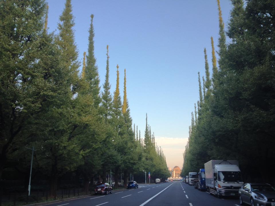 f:id:santambo:20161031070213j:plain f:id:santambo:20161031070213j:plain