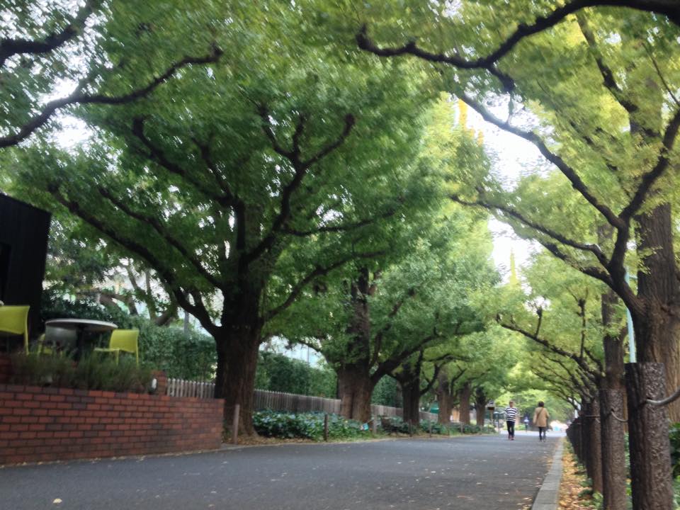 f:id:santambo:20161031070226j:plain f:id:santambo:20161031070226j:plain