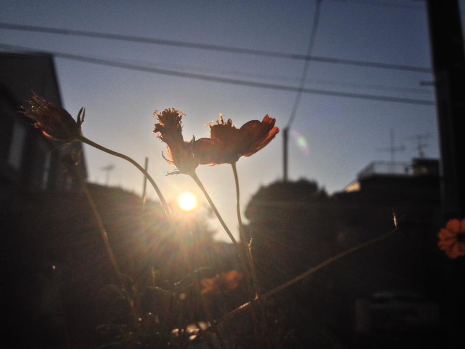 f:id:santambo:20161106072509j:plain