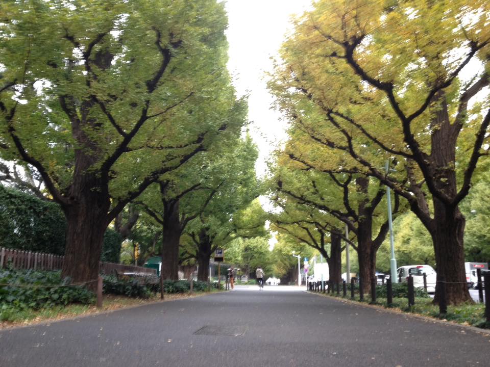 f:id:santambo:20161107070629j:plain