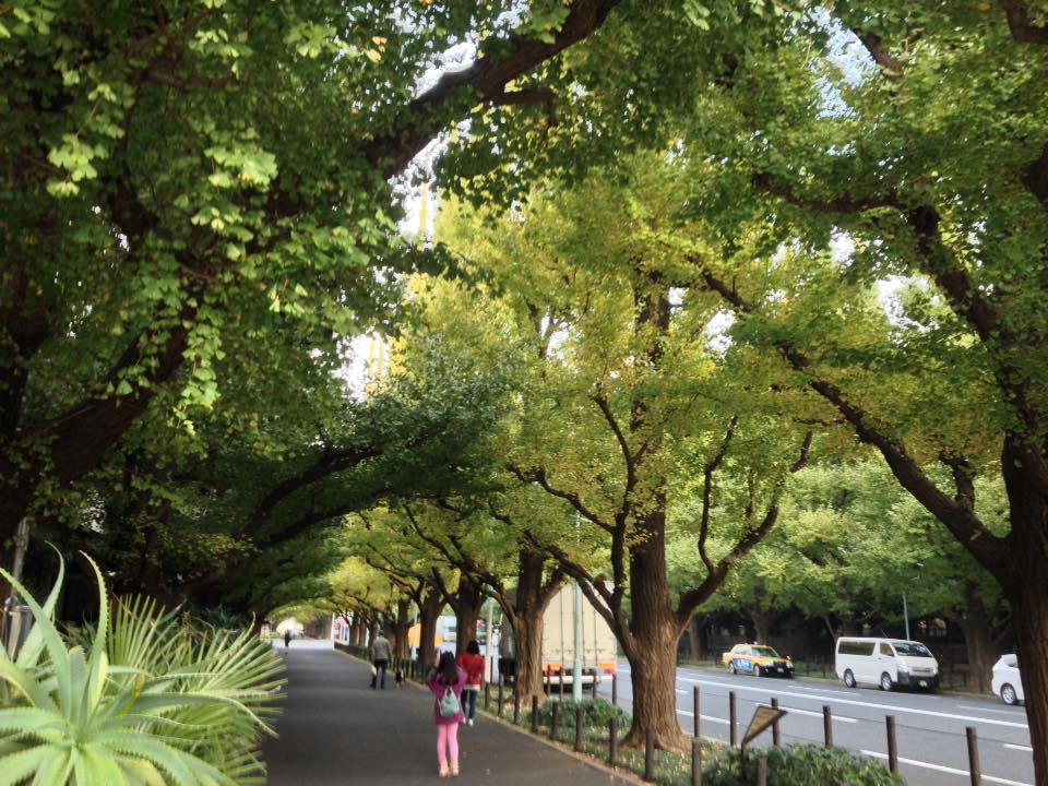 f:id:santambo:20161108072411j:plain