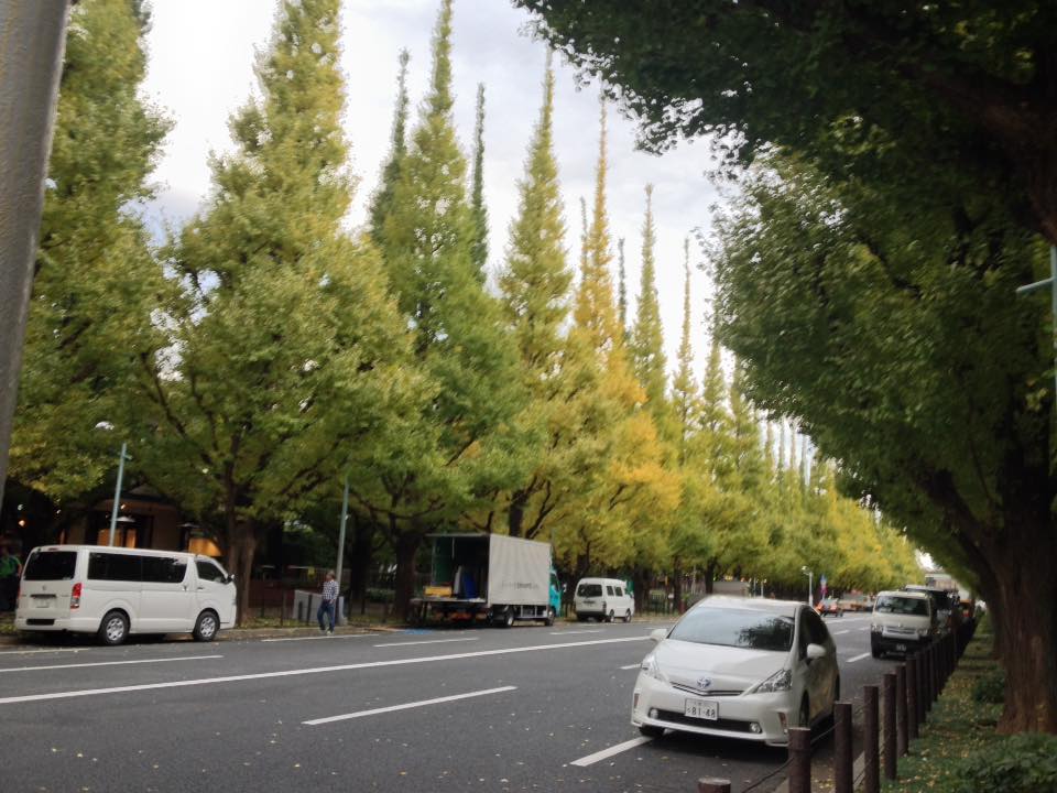 f:id:santambo:20161109073059j:plain