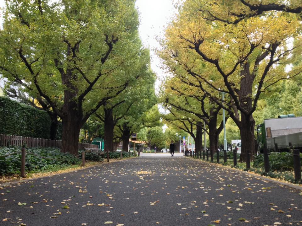 f:id:santambo:20161109073116j:plain