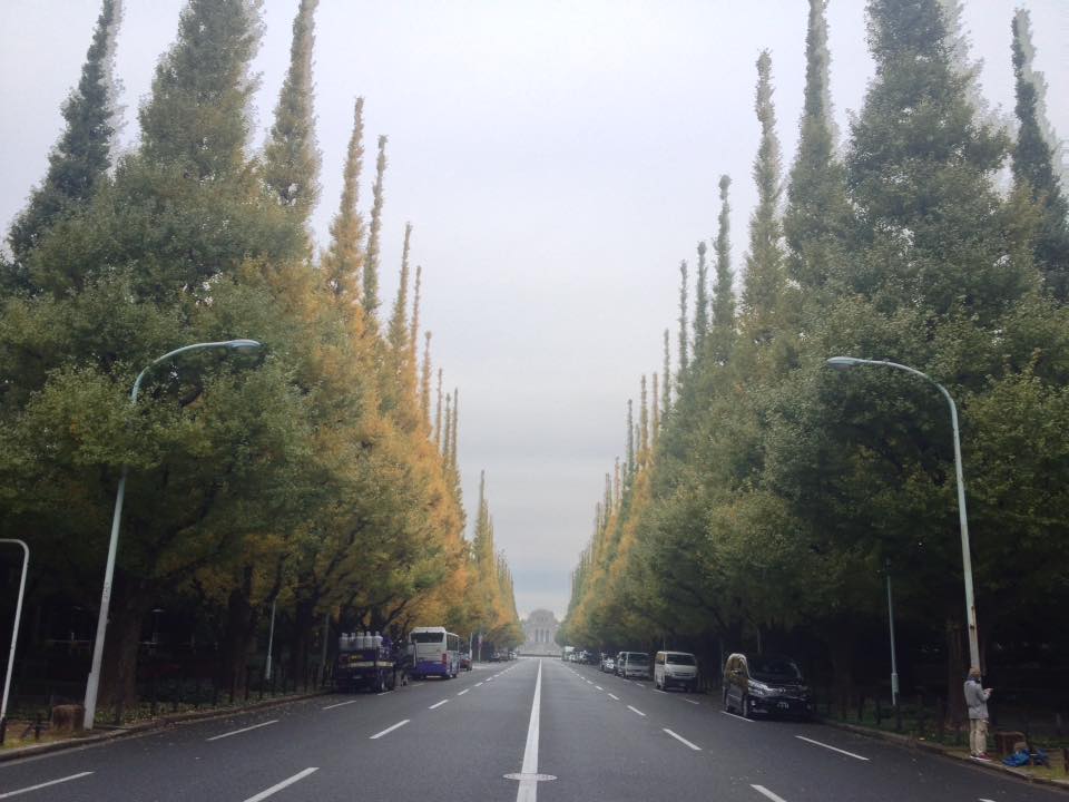 f:id:santambo:20161115074047j:plain