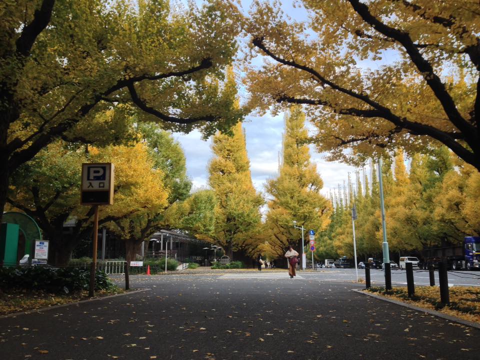 f:id:santambo:20161116075229j:plain f:id:santambo:20161116075229j:plain