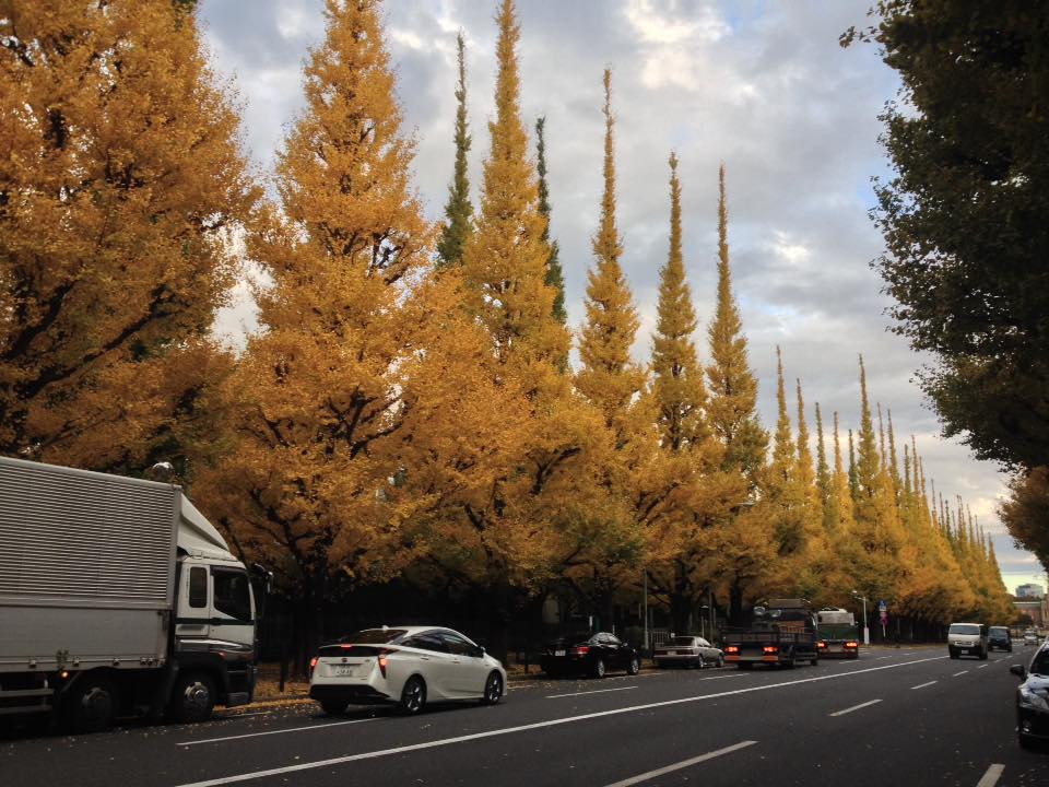 f:id:santambo:20161116075244j:plain f:id:santambo:20161116075244j:plain