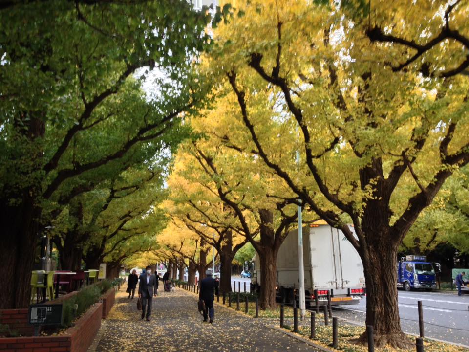 f:id:santambo:20161116075257j:plain f:id:santambo:20161116075257j:plain