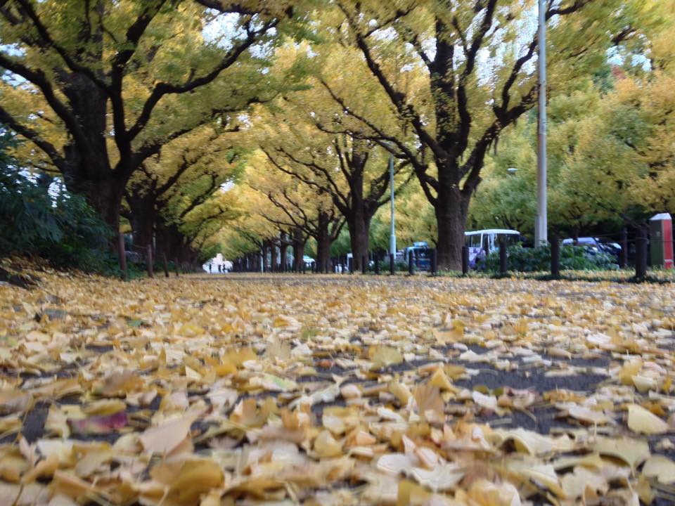 f:id:santambo:20161116075310j:plain f:id:santambo:20161116075310j:plain