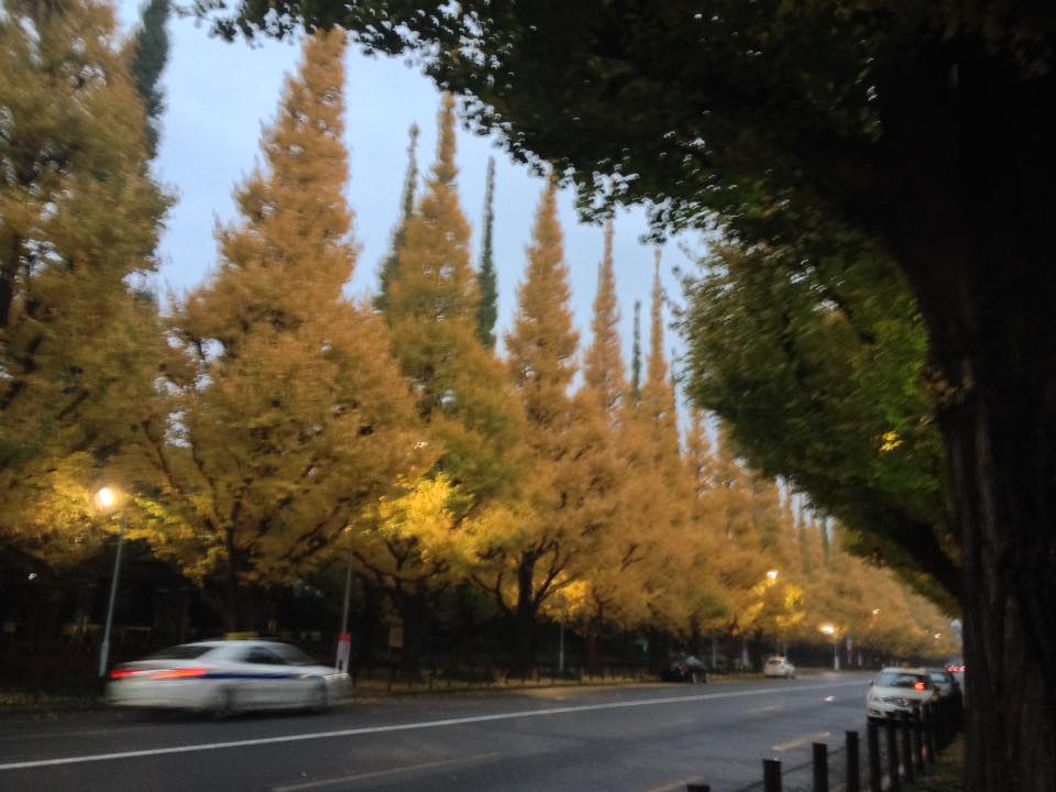 f:id:santambo:20161119064553j:plain