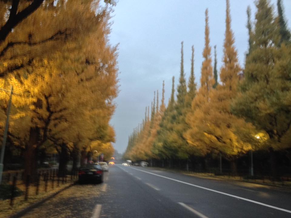 f:id:santambo:20161119064606j:plain