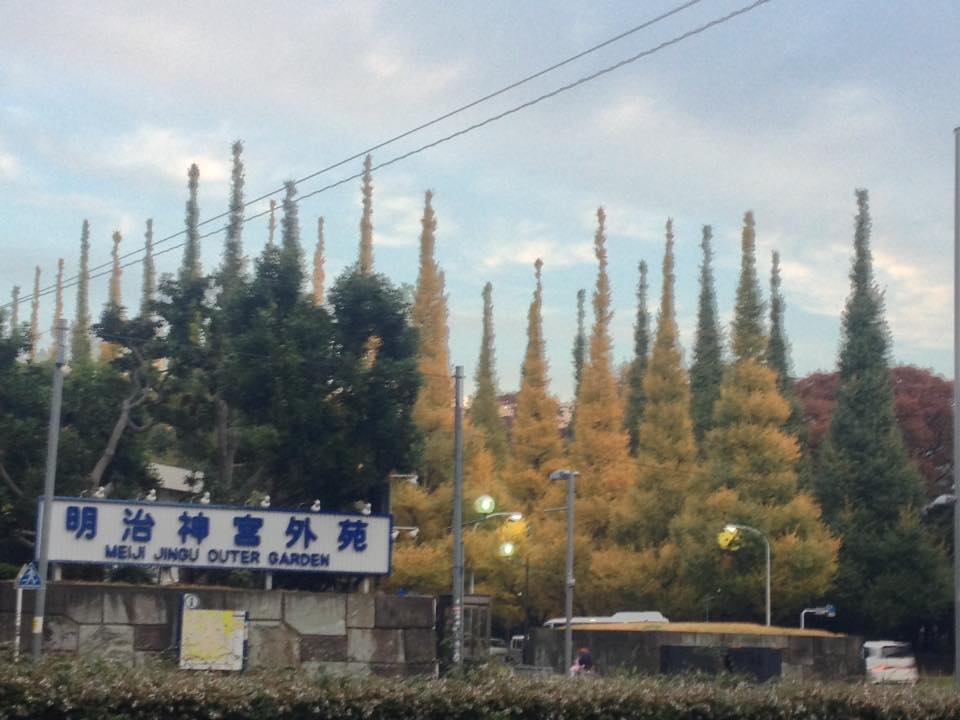 f:id:santambo:20161121070250j:plain