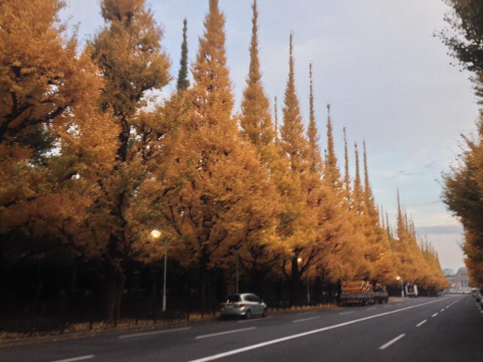 f:id:santambo:20161121070307j:plain