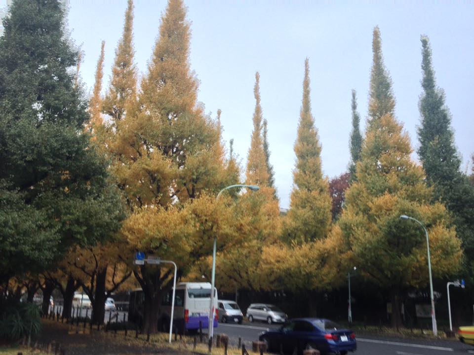 f:id:santambo:20161122072758j:plain