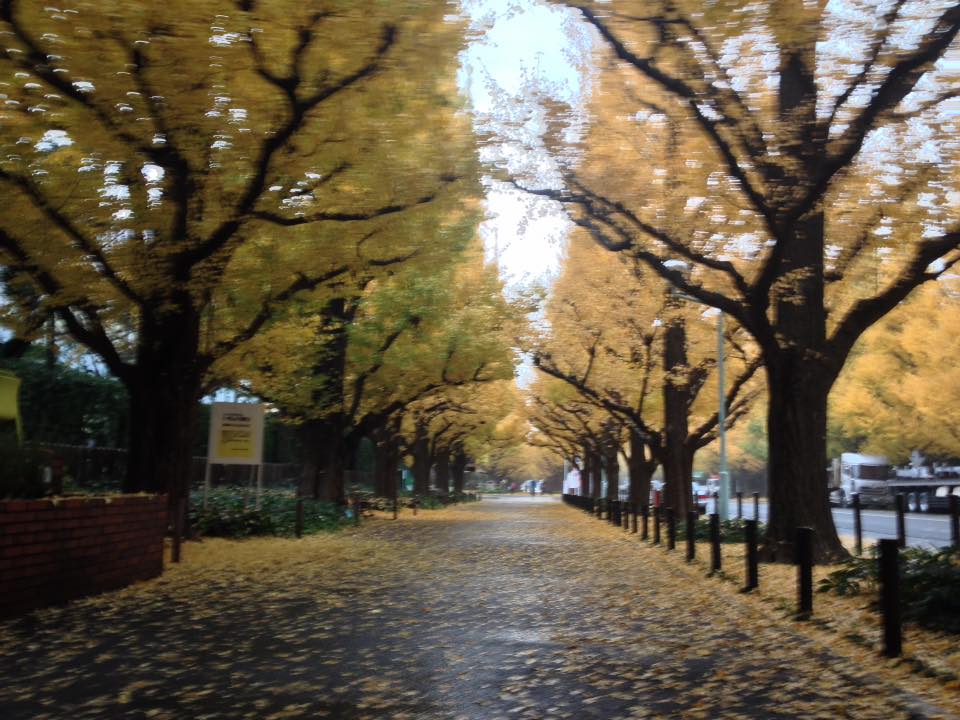 f:id:santambo:20161122072811j:plain